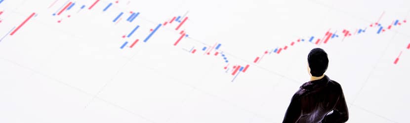 国内株式インディックス型の投資信託がおすすめ